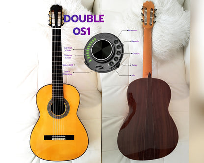 Flamencogitarre Y8 Antonio de Toledo Indischer Palisander, Double OS1