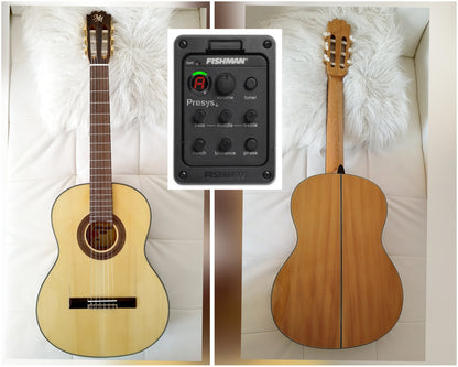 Flamencogitarre Modesto Malla F5/ EB (AMPLIFIED Fishman Presys Blend)