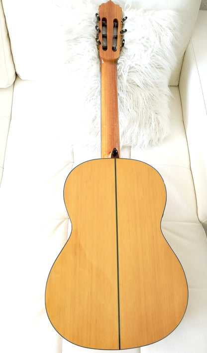 Flamencogitarre Modesto Mesh F8