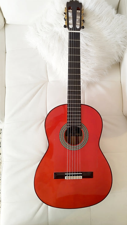 Flamenco Guitar Y8 Antonio de Toledo Red Indian Rosewood, Fishman Presys Blend