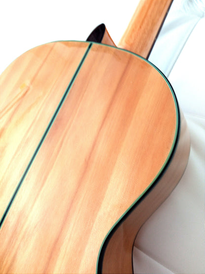 Flamencogitarre Modesto Mesh F5