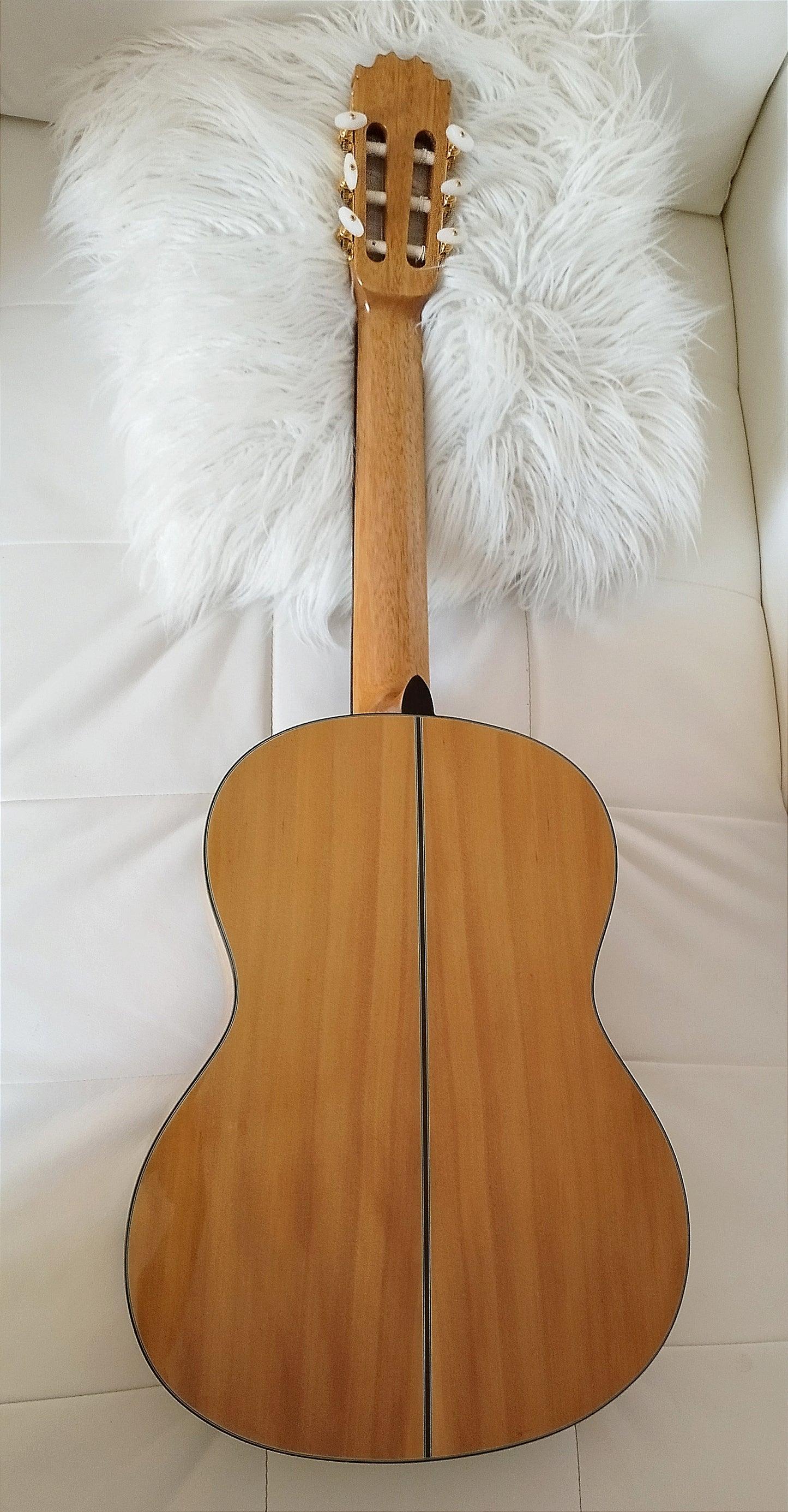 Flamencogitarre Modesto Mesh F5