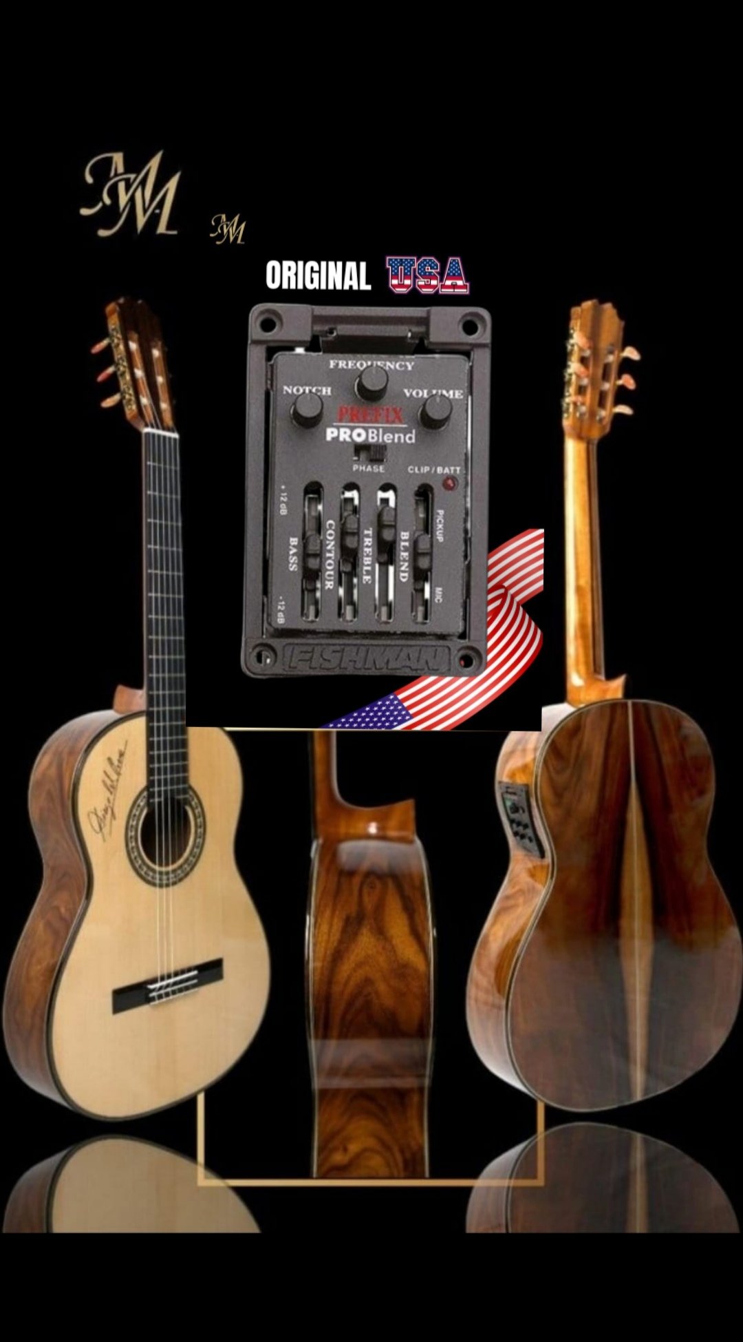Guitarra Flamenca "Diego del Morao" Fishman Prefix Pro blend