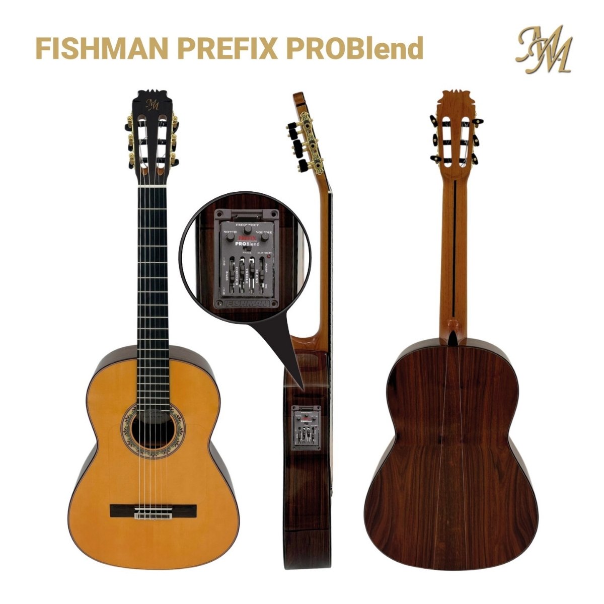 Guitarra Artesana Excelencia Fishman Prefix Pro Blend Natural